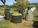 Dreschkirtag Rechnitz 2016 (5)